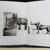 Biennio Grafica e Comunicazione